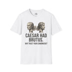 Caesar Had Brutus T-shirt — "Why Trust Your Coworkers?"
